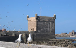 le port d'Essaouira