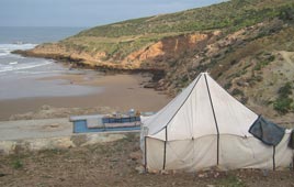 le dromadaire...roi des dunes