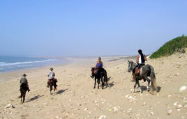 jour de souk � Sidi Ifni